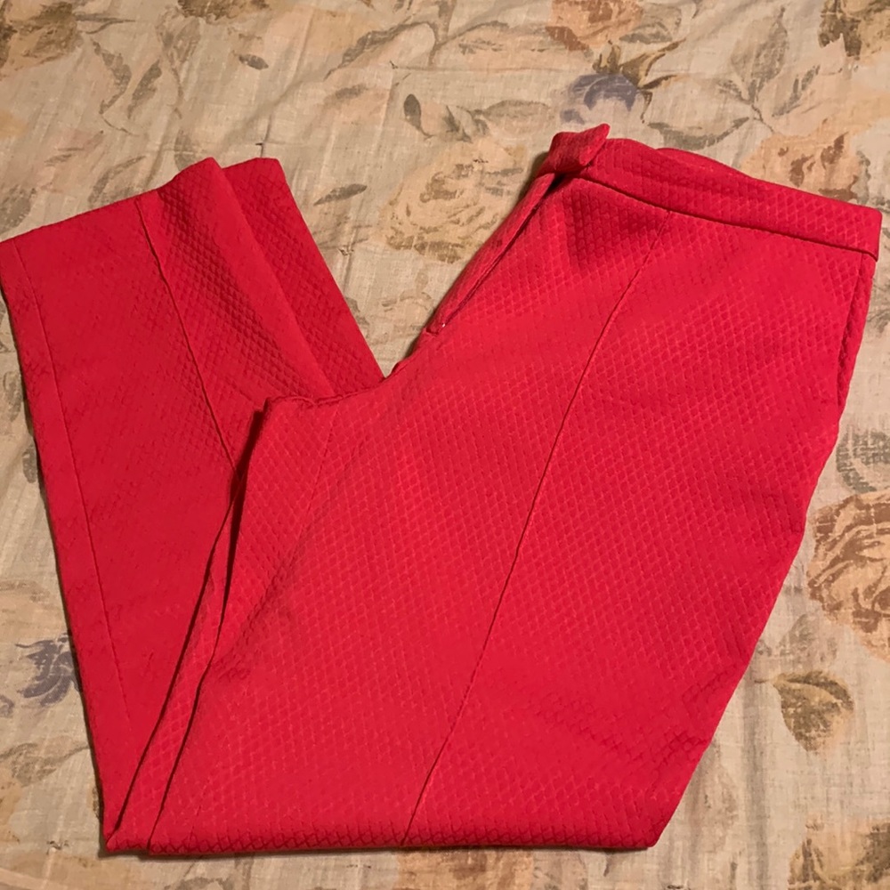 Dalia Pink Textured Slacks, 14